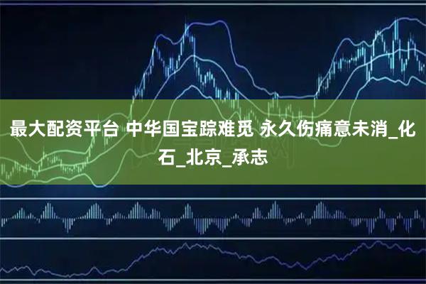 最大配资平台 中华国宝踪难觅 永久伤痛意未消_化石_北京_承志